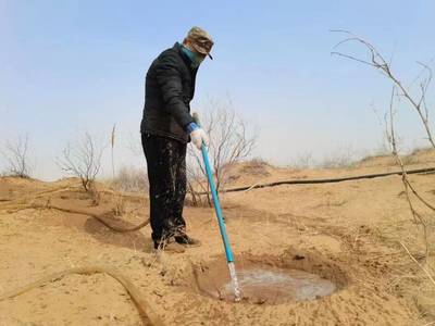 持續一小步，邁向綠色未來 每日黑巧以“巧護地球”引領農副產品銷售新篇章