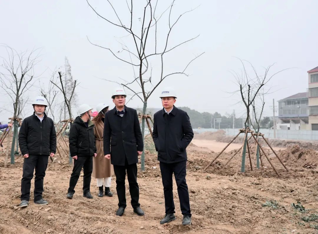 張云飛率隊調研白云園林公司 聚焦在建項目與樹木種植經營，推動綠色發展新篇章